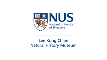 NUS